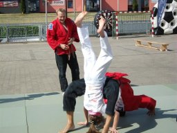 Bilder aus 2011